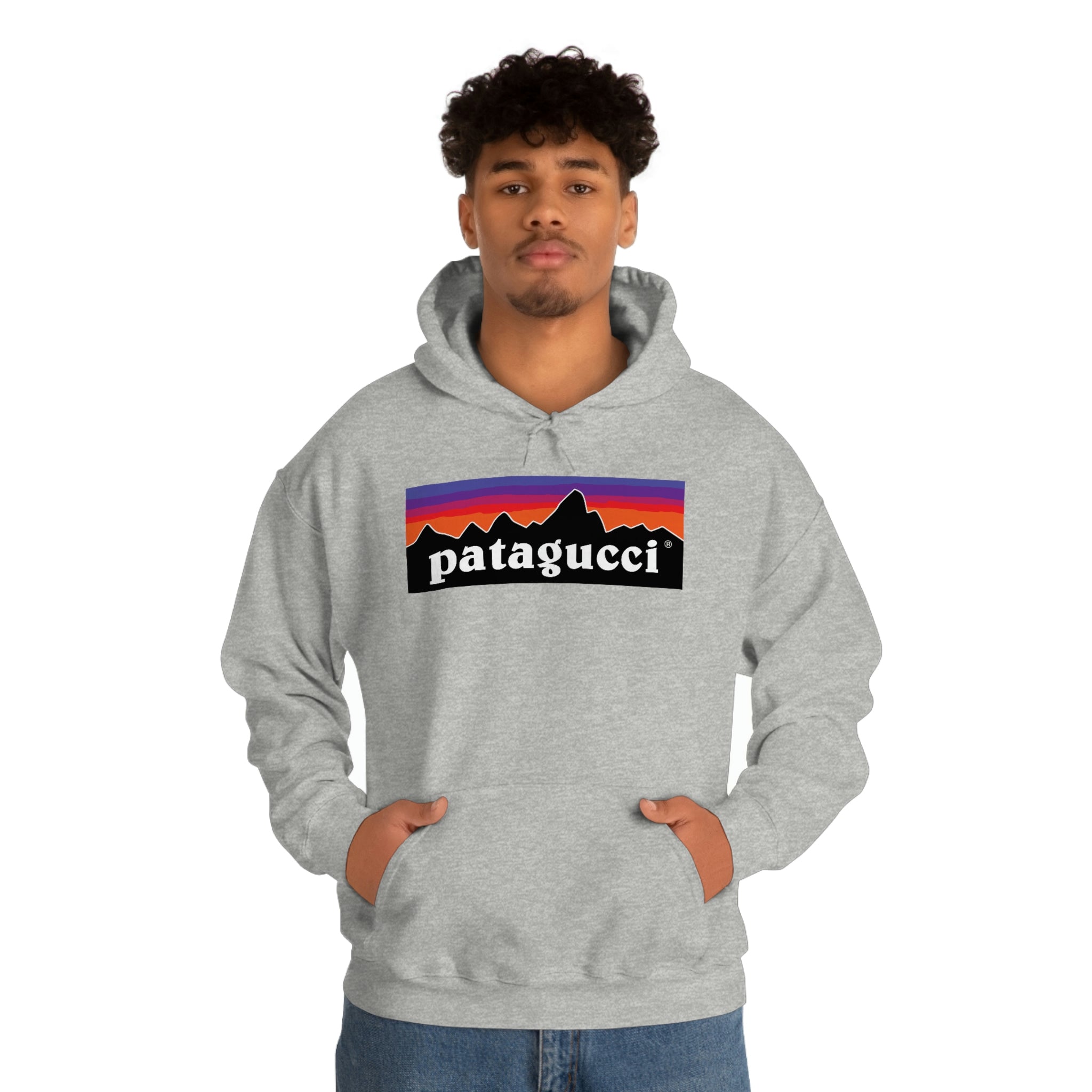 Patagonia men's hooded discount sweatshirts